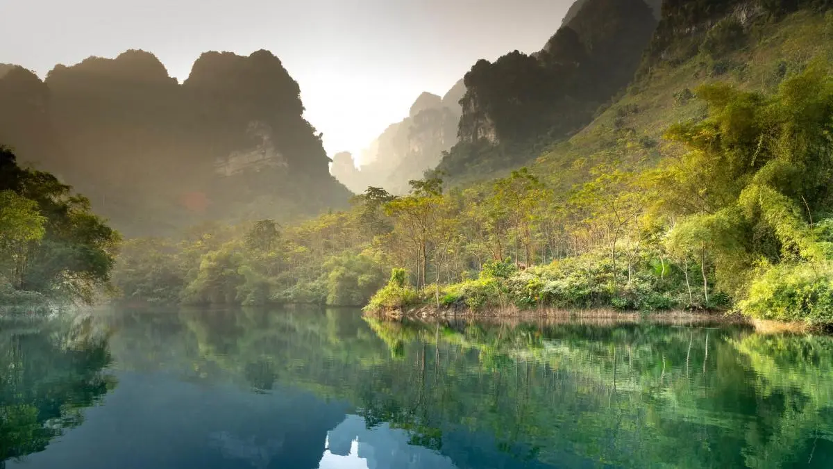 工业科技高标准